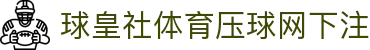 球皇即时比分直播平台_今日足球比分直播与赛程追踪